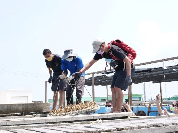 先在陸上生態池成長