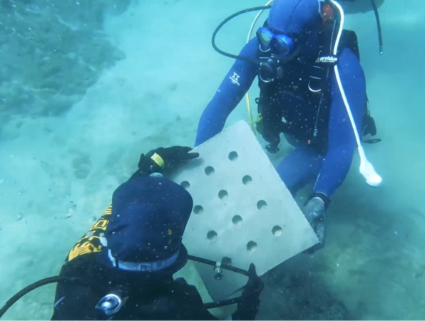 三角移植磚置入海裡定位