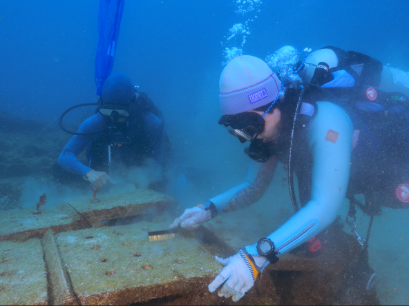 定期巡視及清潔覆蓋的藻類